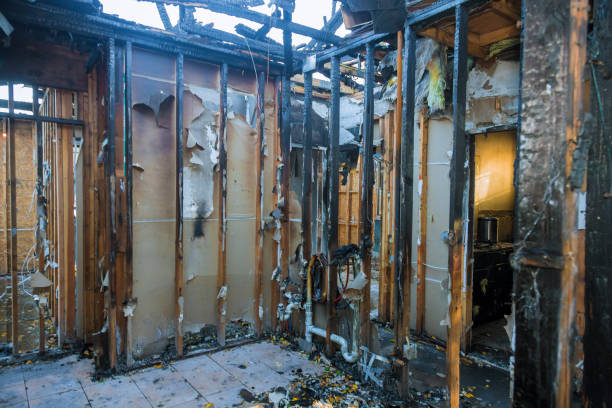 Professional Smoke Damage Removal technician working in Footville, WI